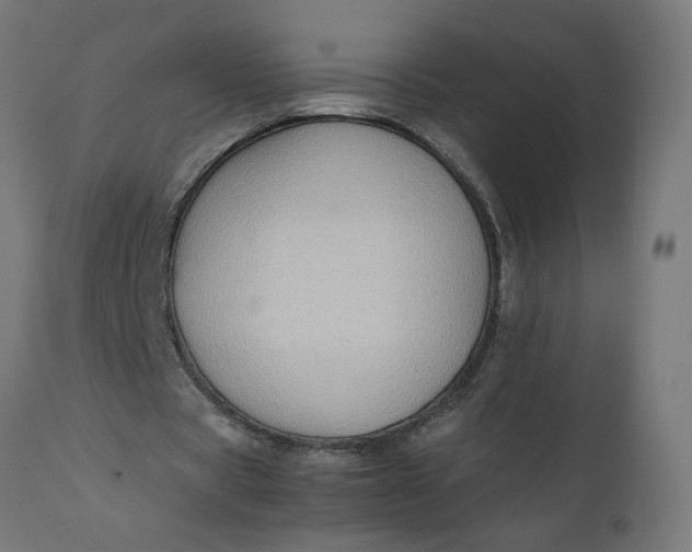 X0000111490529200907281229