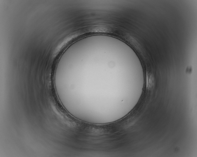 X0000111490531200907281229