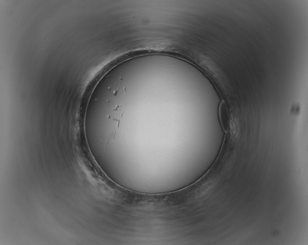 X0000111490532200907281229