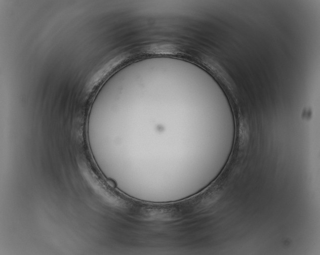 X0000111490533200907281229