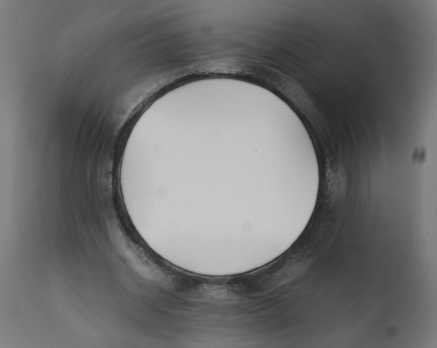 X0000111490534200907281229