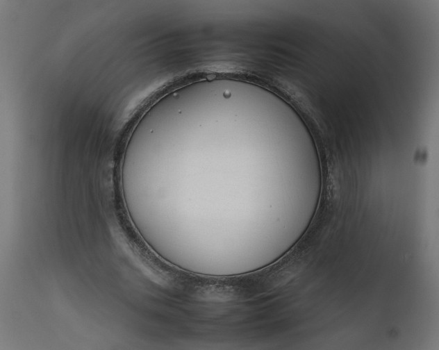 X0000111490535200907281229