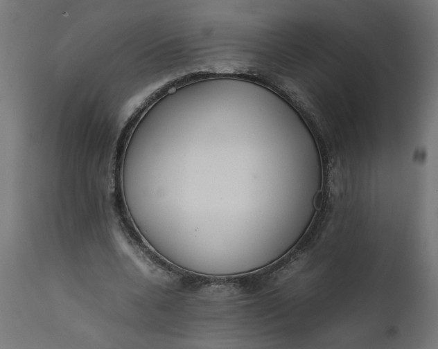 X0000111490536200907281229