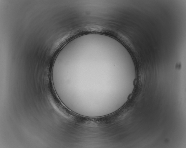 X0000111490538200907281229