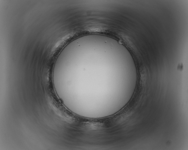 X0000111490539200907281229