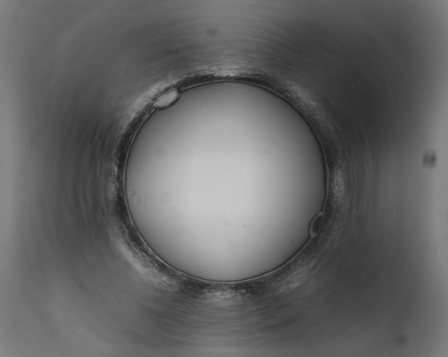 X0000111490540200907281229