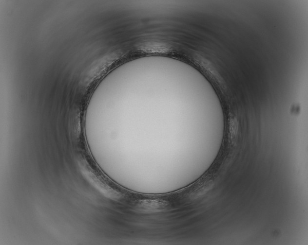 X0000111490541200907281229