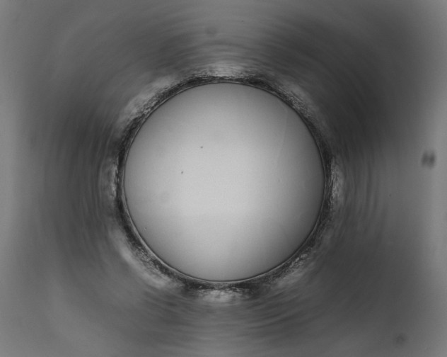 X0000111490542200907281229