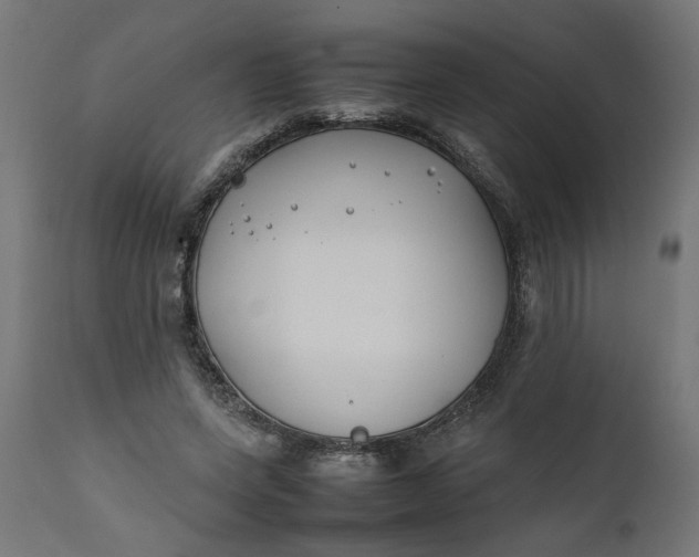 X0000111490543200907281229