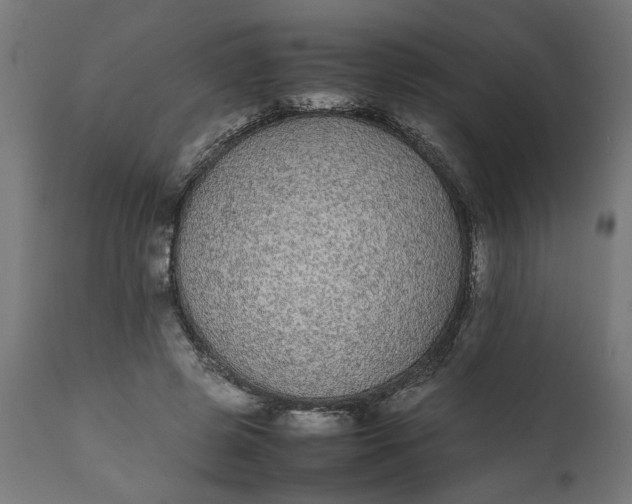 X0000111490545200907281229