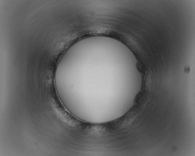 X0000111490546200907281229