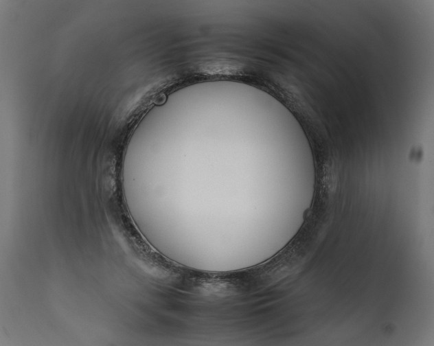 X0000111490547200907281229