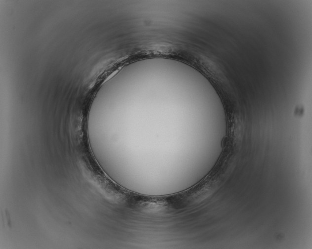 X0000111490548200907281229