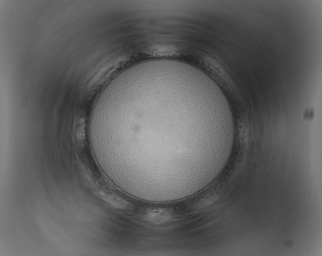 X0000111490549200907281229