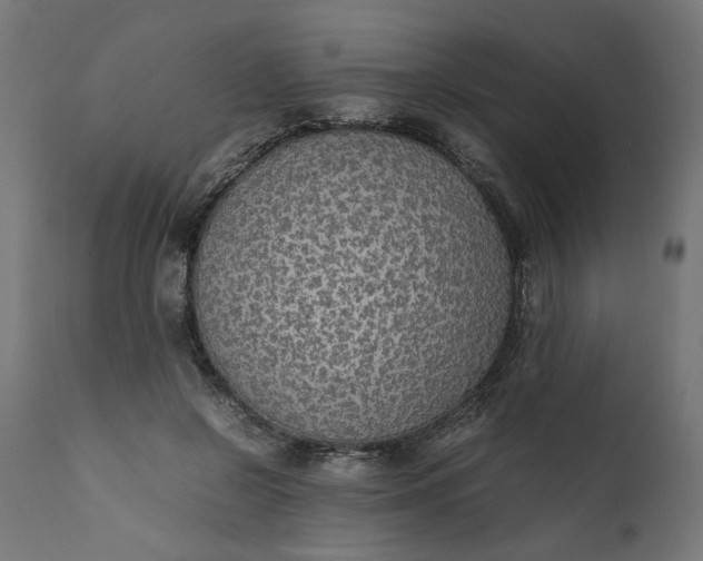 X0000111490550200907281229