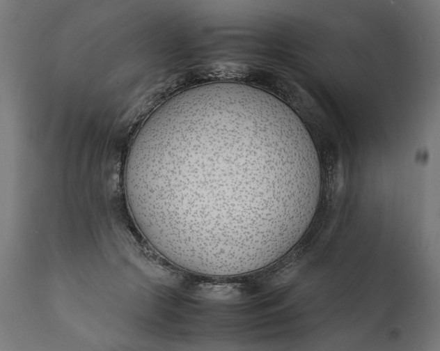 X0000111490553200907281230