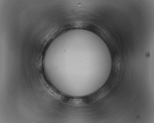 X0000111490554200907281230