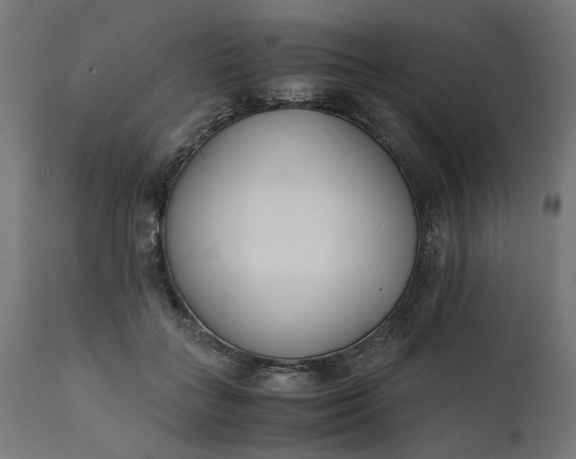 X0000111490555200907281230