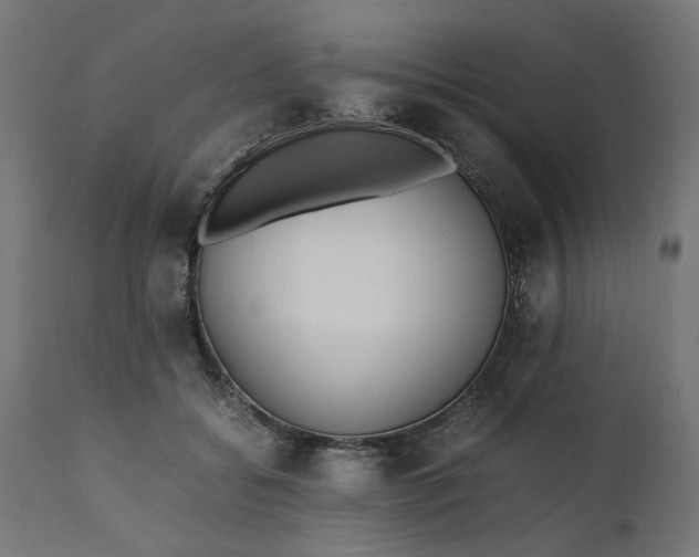 X0000111490556200907281230