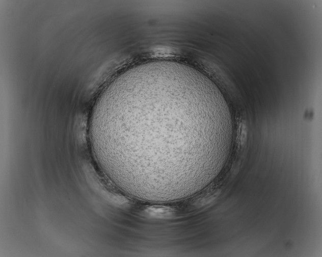 X0000111490557200907281230