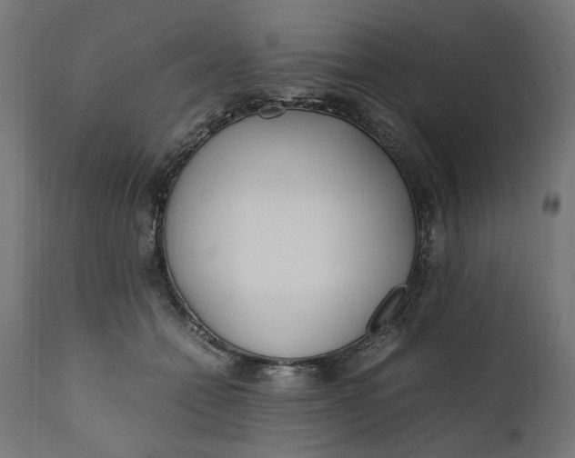 X0000111490558200907281230