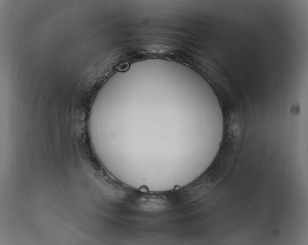 X0000111490559200907281230