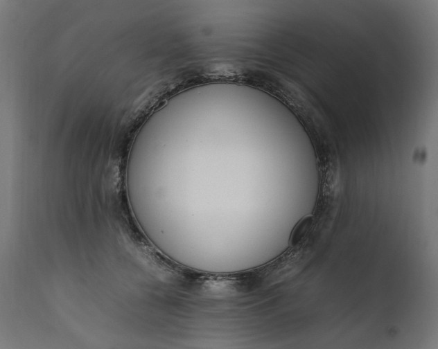 X0000111490560200907281230