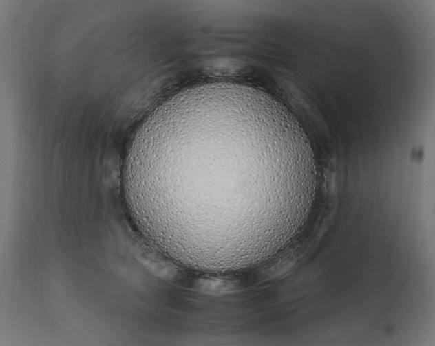 X0000111490561200907281230