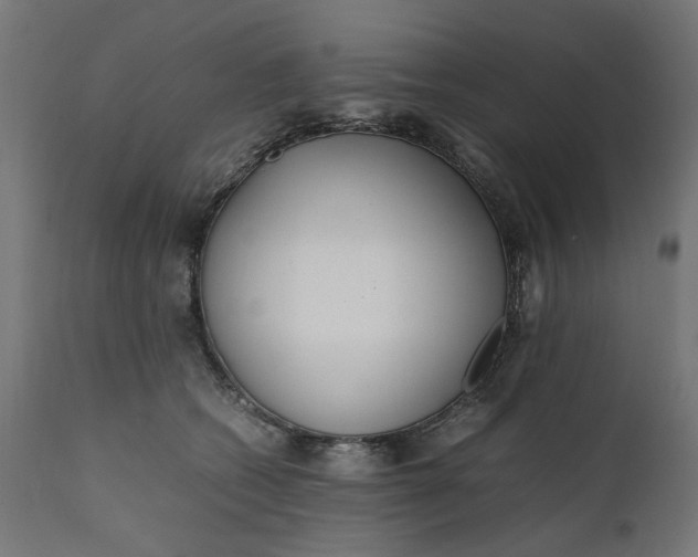 X0000111490562200907281230