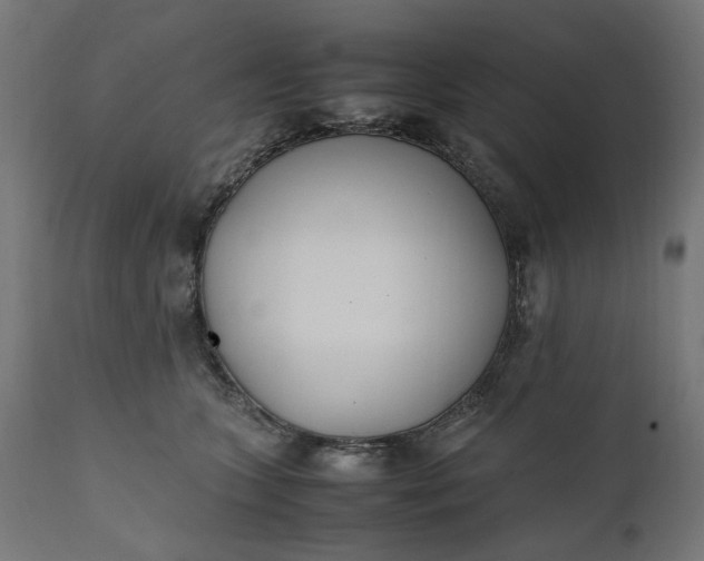 X0000111490563200907281230