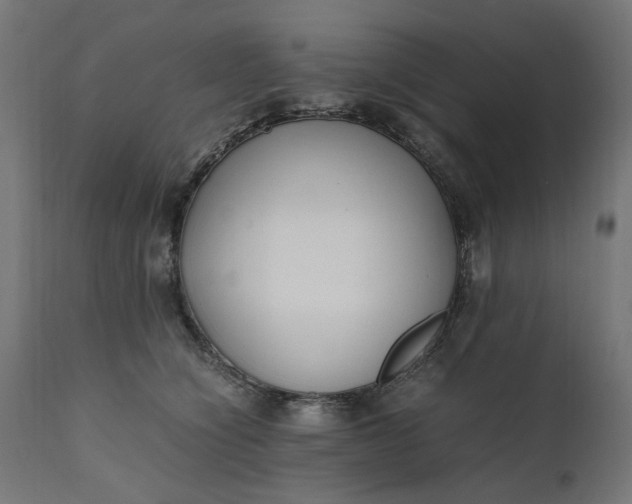 X0000111490564200907281230