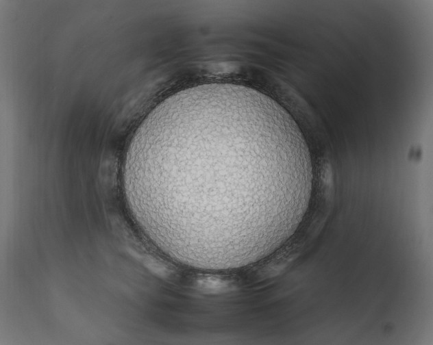 X0000111490565200907281230