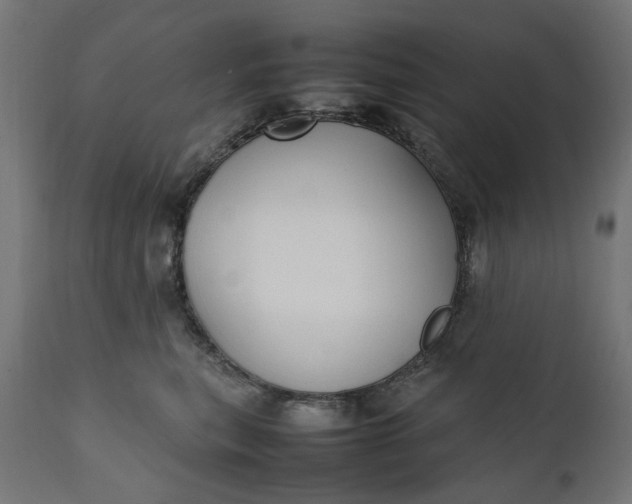 X0000111490567200907281230