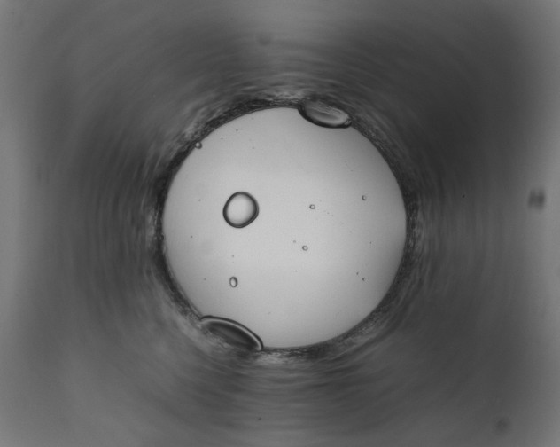 X0000111490568200907281230