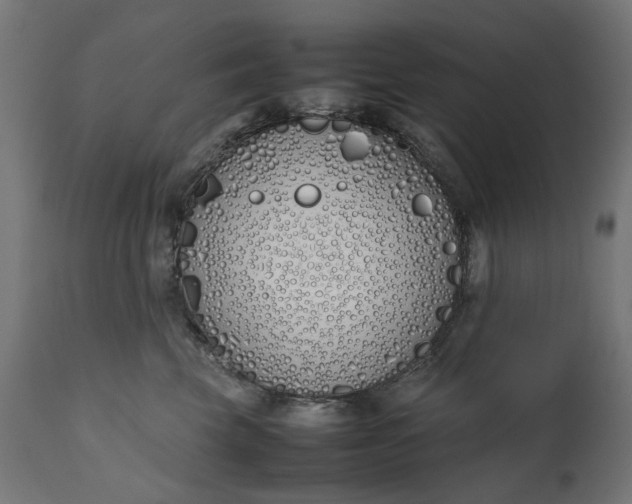 X0000111490569200907281230