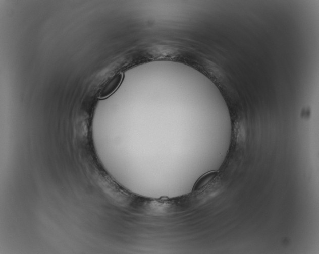 X0000111490570200907281230