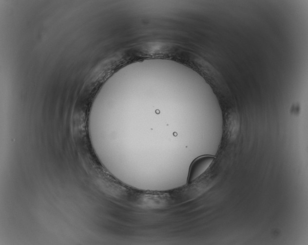 X0000111490571200907281230