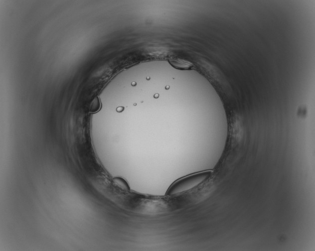 X0000111490572200907281230