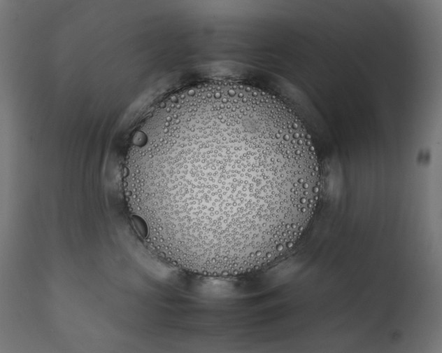 X0000111490573200907281230