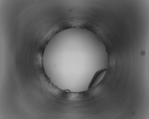 X0000111490575200907281230