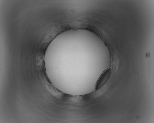 X0000111490576200907281230