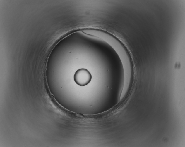 X0000111490577200907281229