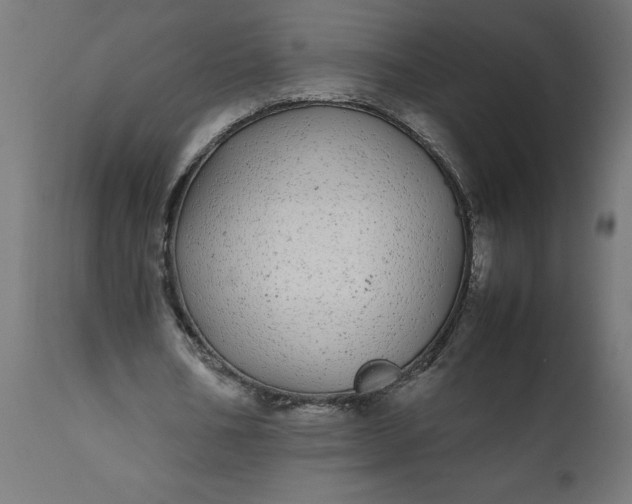 X0000111490578200907281229