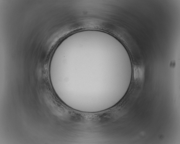 X0000111490579200907281229