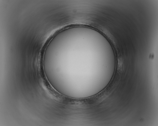 X0000111490580200907281229