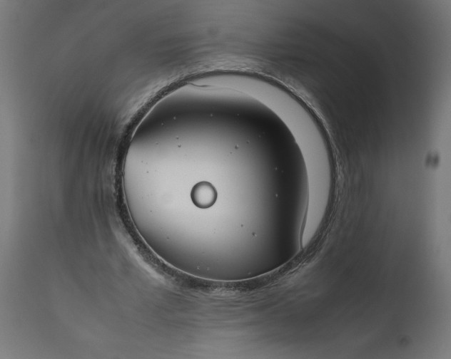 X0000111490581200907281229