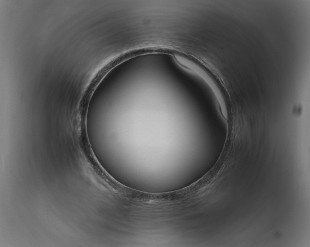 X0000111490584200907281229