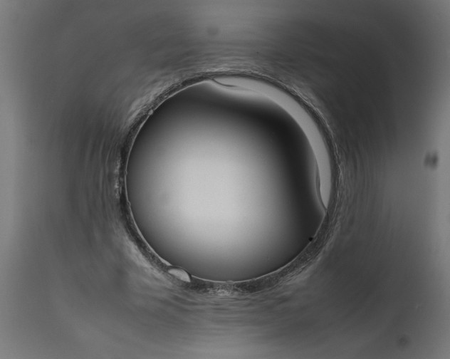 X0000111490585200907281229