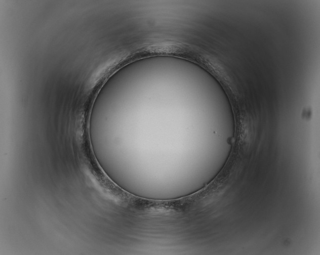 X0000111490586200907281229