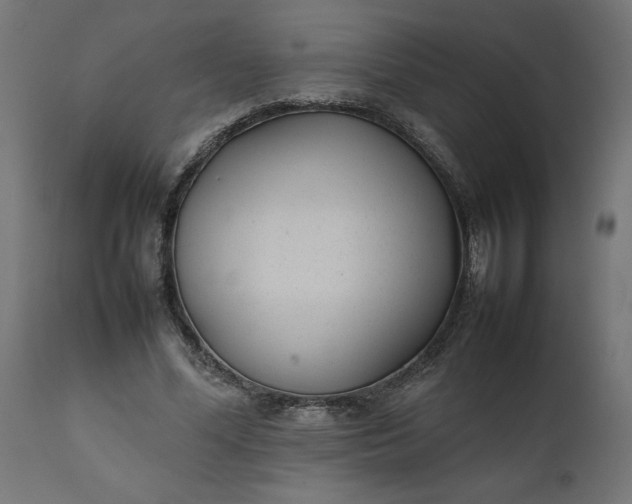 X0000111490588200907281229